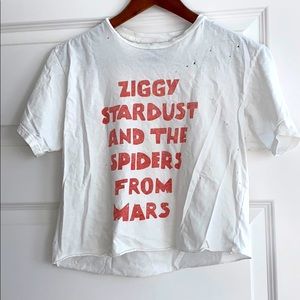 Vintage Inspired Bowie Crop Top